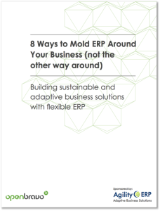 8 ways to mold your erp around your business